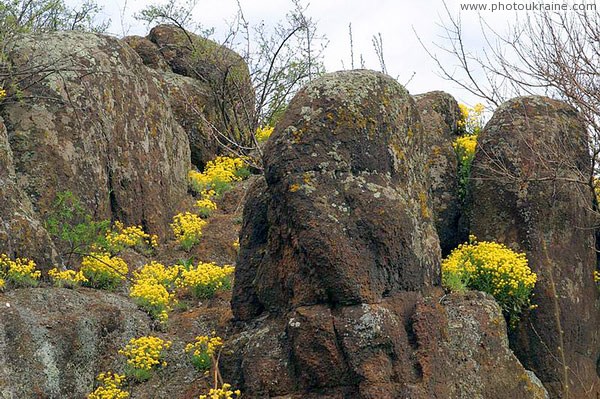 Starolaspa. Stone, lichen and flowers Donetsk Region Ukraine photos