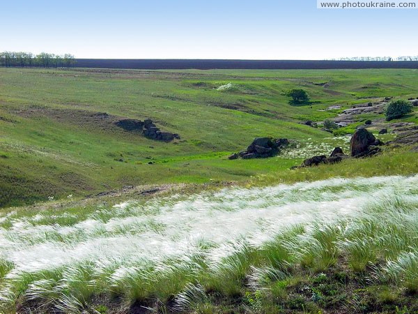 Telmanove. Feather-grass slope beam Donetsk Region Ukraine photos