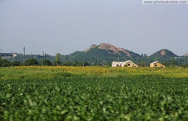 View from road Donetsk  Kurakhove. Greening heaps Donetsk Region Ukraine photos