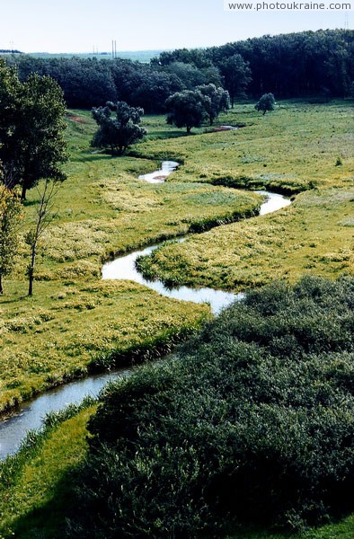 Flowery bed of river Small Kalchyk Donetsk Region Ukraine photos