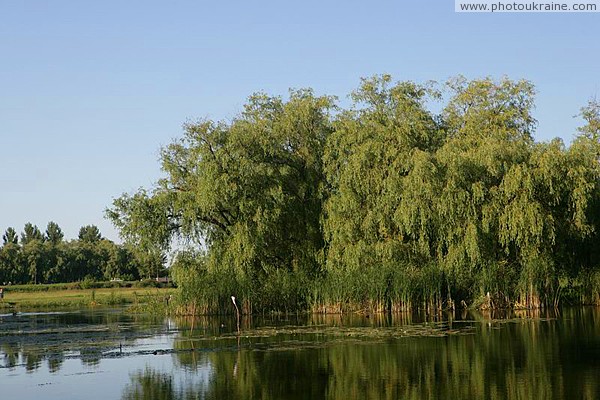 Berdychiv. River spilled Gnylopiat Zhytomyr Region Ukraine photos