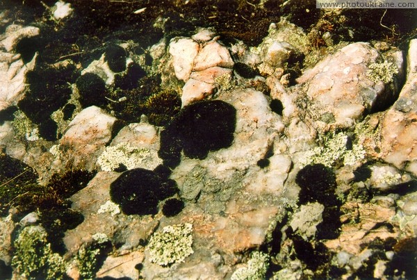 Высокий Камень. Лишайниковые пегматиты Житомирская область Фото Украины