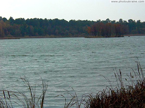 Zhytomyr. Island in middle dammed Teteriv Zhytomyr Region Ukraine photos