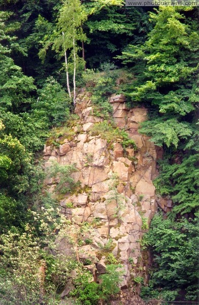 Zhytomyr. Birches-sister on granite rock Zhytomyr Region Ukraine photos