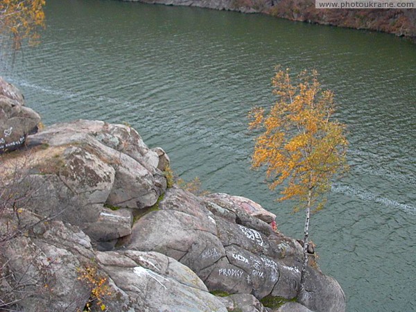 Zhytomyr. It seems birch grows in granite Zhytomyr Region Ukraine photos