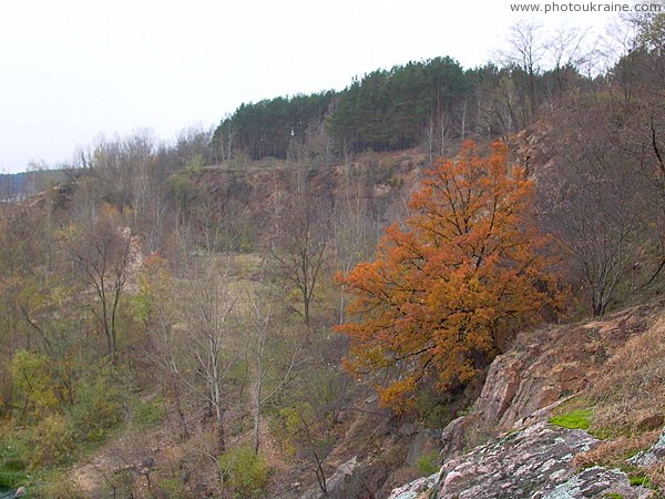 Житомир. Осеннее разноцветье Житомирская область Фото Украины