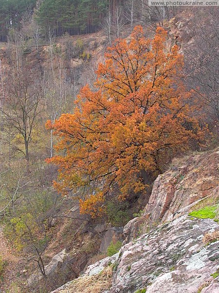 Zhytomyr. Autumn fire Zhytomyr Region Ukraine photos