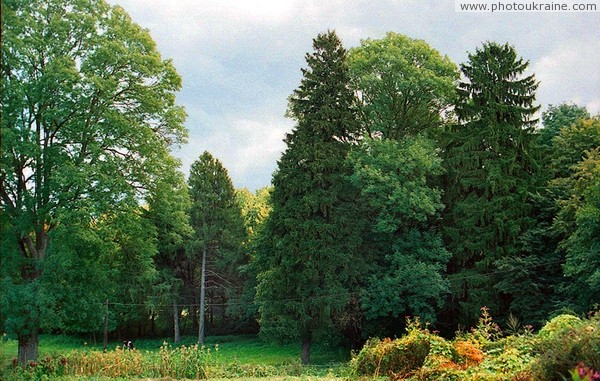 Ivnytsia. Ivnitskyi 200-year-old park Zhytomyr Region Ukraine photos
