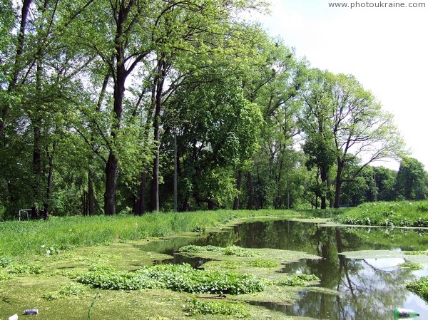 Korostyshiv. Fragments of old park Zhytomyr Region Ukraine photos