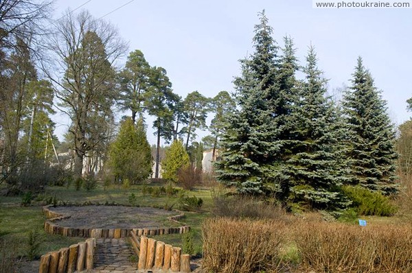 Малин. Парк лесотехнического колледжа Житомирская область Фото Украины