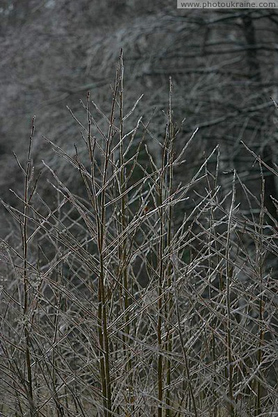 Poliskyi Reserve. Ice symphony Zhytomyr Region Ukraine photos