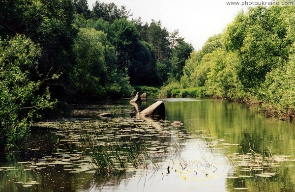 Backwater of river Tnia Zhytomyr Region Ukraine photos
