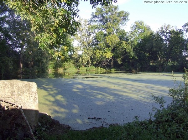 Tiutiunyky. Dying manor pond Zhytomyr Region Ukraine photos