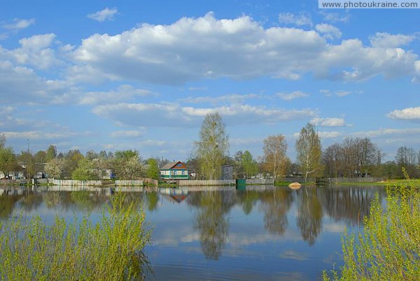 Flooding of village on banks of river Ubort Zhytomyr Region Ukraine photos