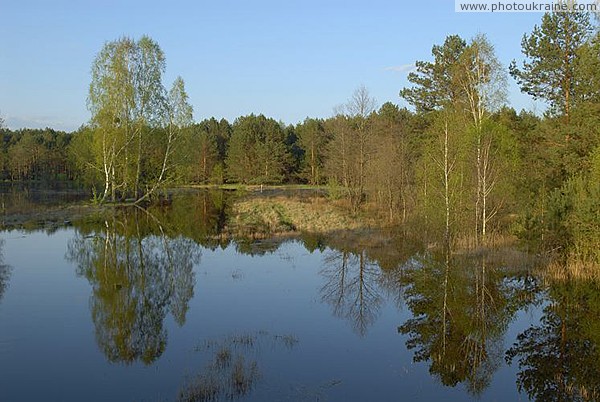 Virginal expanse of river Polissia Ubort Zhytomyr Region Ukraine photos