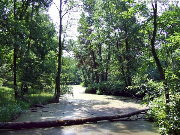 Ushomyr. Tired of living pond Zhytomyr Region Ukraine photos