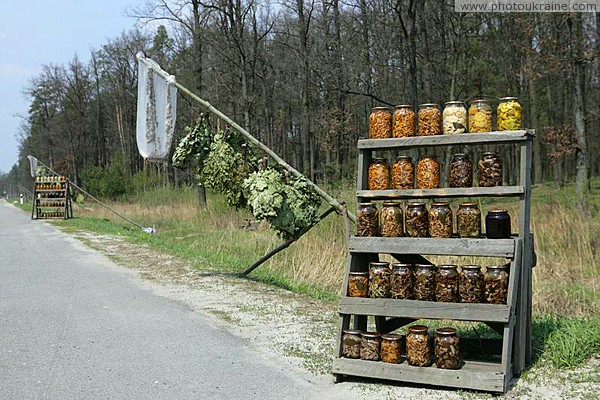 Roadside trade Korostyshiv area Zhytomyr Region Ukraine photos