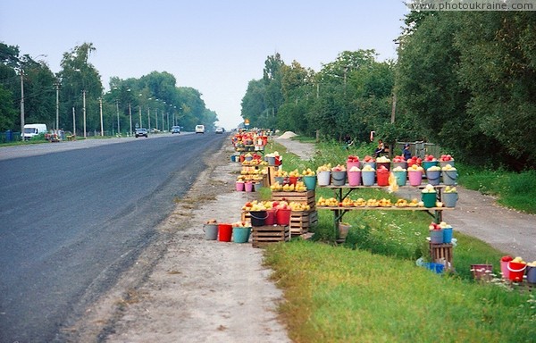 Торгуют все! Житомирская область Фото Украины
