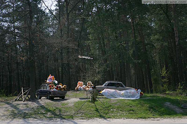 Soft toys in forest near Korostyshiv Zhytomyr Region Ukraine photos