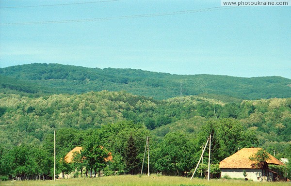 Ilnytsia. Slopes of Volcanic Carpathians Zakarpattia Region Ukraine photos