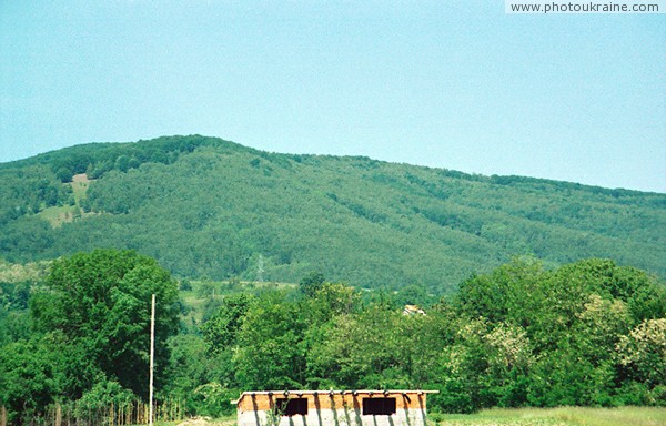 Ilnytsia. Forested slope of Carpathian Zakarpattia Region Ukraine photos
