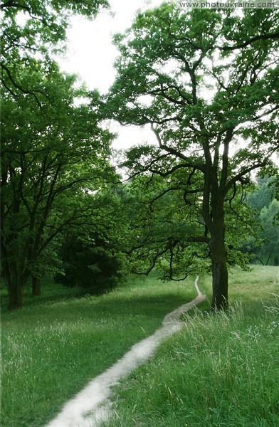 Karpaty. Park trail in estate Shenborn Zakarpattia Region Ukraine photos