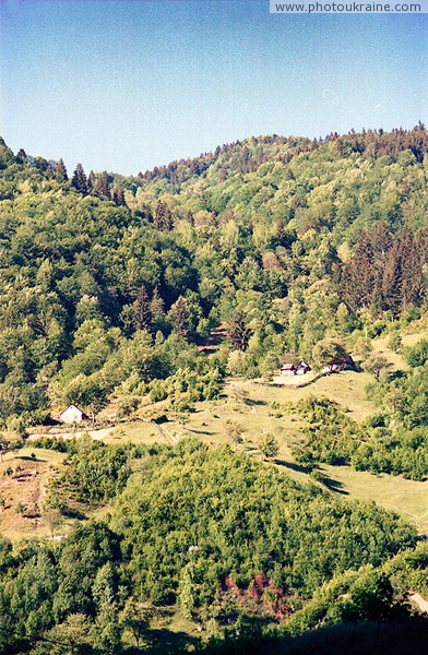 Kostylivka. Kuziysky array Carpathian reserve Zakarpattia Region Ukraine photos