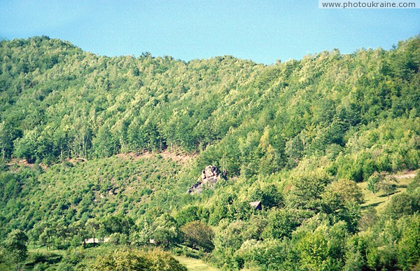 Kostylivka. Forest border village of Tisa Zakarpattia Region Ukraine photos
