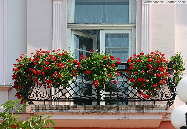 Mukacheve. Blooming balcony Zakarpattia Region Ukraine photos