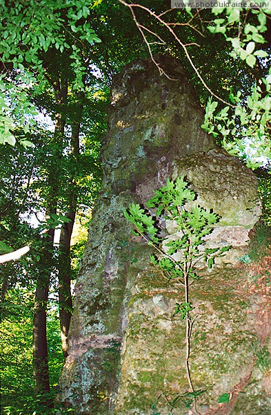 Nevytske. 10-meter column of volcanic tuff Zakarpattia Region Ukraine photos