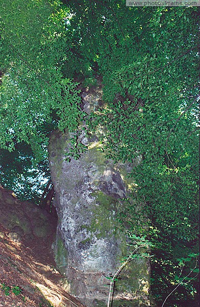 Nevytske. Volcanic pole on side of valley Uzh Zakarpattia Region Ukraine photos