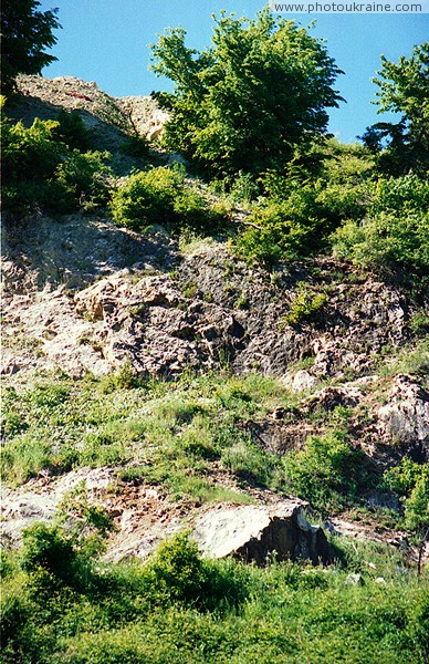  Gebiet Sakarpatje 