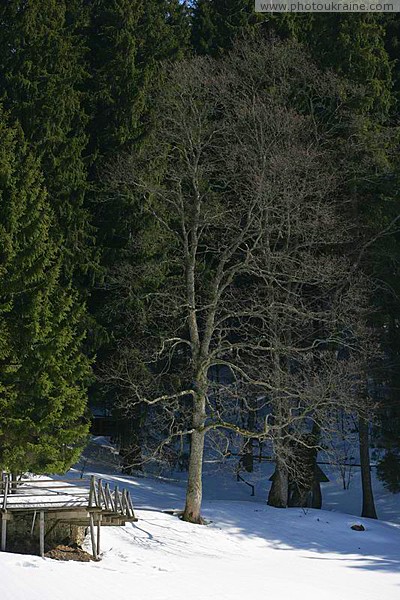 Reserve Synevyr. Captain bridge Synevyr Zakarpattia Region Ukraine photos