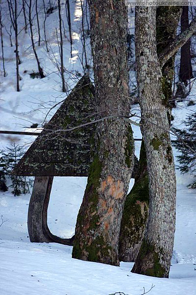 Reserve Synevyr. On frozen lake shore Zakarpattia Region Ukraine photos