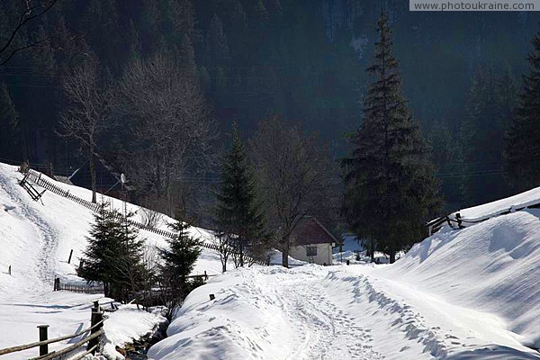 Reserve Synevyr. Village trails Zakarpattia Region Ukraine photos