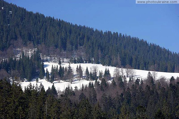 Reserve Synevyr. Smereka paradise Zakarpattia Region Ukraine photos