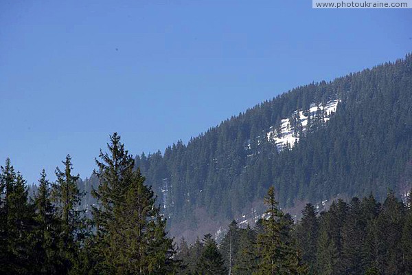 Reserve Synevyr. Carpathian idyll Zakarpattia Region Ukraine photos