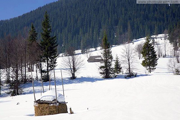 Reserve Synevyr. Rescue Stizhok Zakarpattia Region Ukraine photos