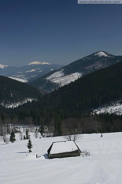 Reserve Synevyr. Mount Kleva (1228 m) above Synevyr Zakarpattia Region Ukraine photos