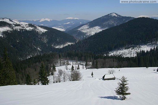 Reserve Synevyr. Intermontane basins Sinevir Zakarpattia Region Ukraine photos