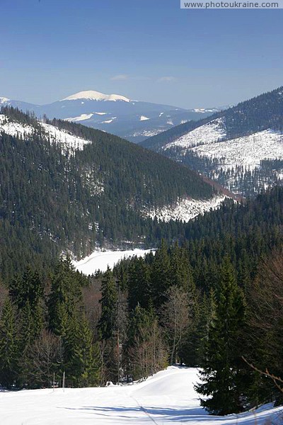 Reserve Synevyr. Frozen spot Synevyr Zakarpattia Region Ukraine photos