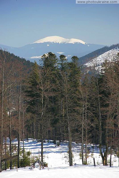 Reserve Synevyr. On roof of Ukrainian Carpathians Zakarpattia Region Ukraine photos