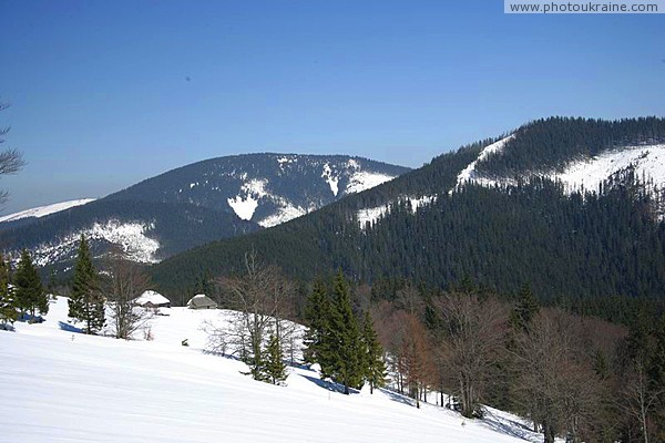 Reserve Synevyr. Attractive charm of Gorgany Zakarpattia Region Ukraine photos