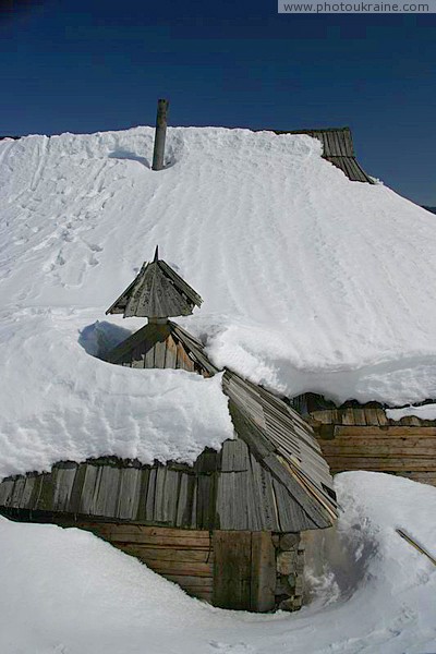 Reserve Synevyr. Under snow cap Zakarpattia Region Ukraine photos