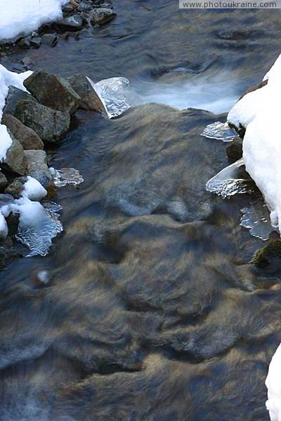 Reserve Synevyr. Mountain stream winter Zakarpattia Region Ukraine photos