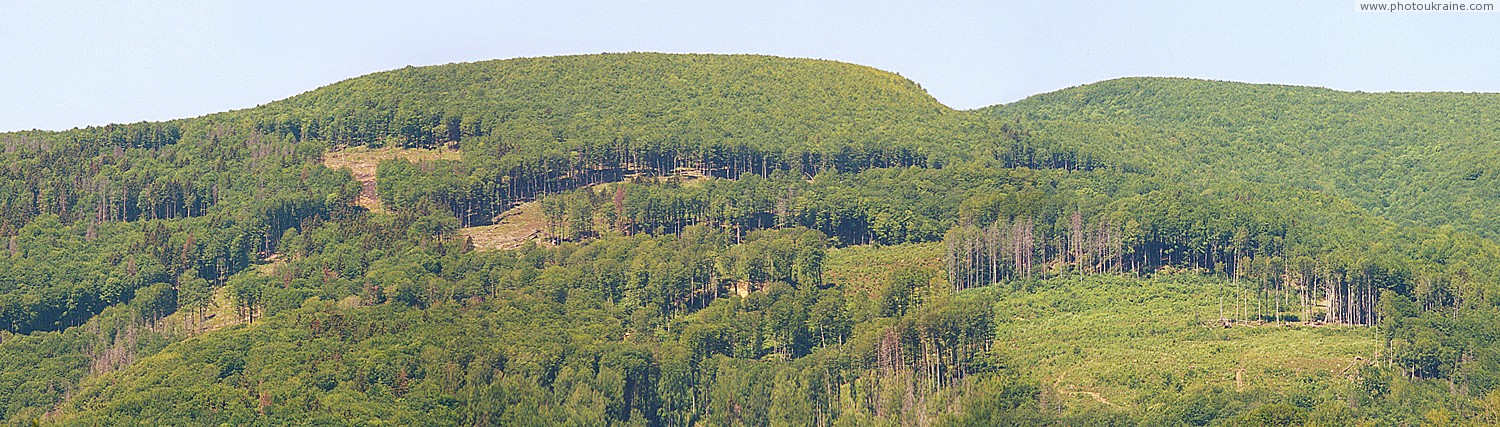 Syniak. Panorama Mountain Obavsky Stone (979 m) Zakarpattia Region Ukraine photos