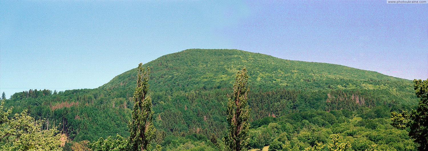 Синяк. Гора Бус (Середній Верх) (980 м) Закарпатська область Фото України