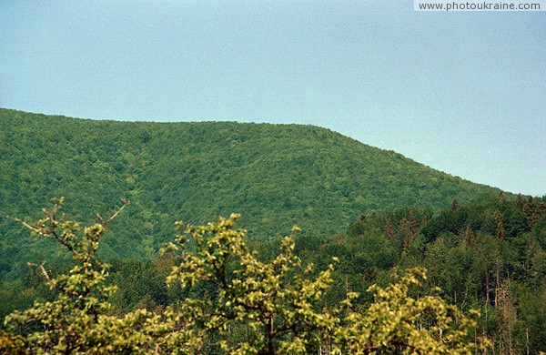 Syniak. Ridge Syniak of Volcanic Carpathians Zakarpattia Region Ukraine photos