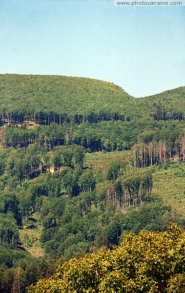 Syniak. On hillside Obavsky Stone Zakarpattia Region Ukraine photos