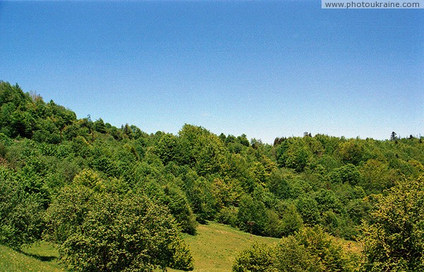 Uzhanskyi Reserve. Uzhotsky Pass (852 m) Zakarpattia Region Ukraine photos